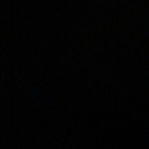 Meet your Posher, Ava